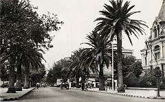 Sidi-bel-abbès 529- Bd République